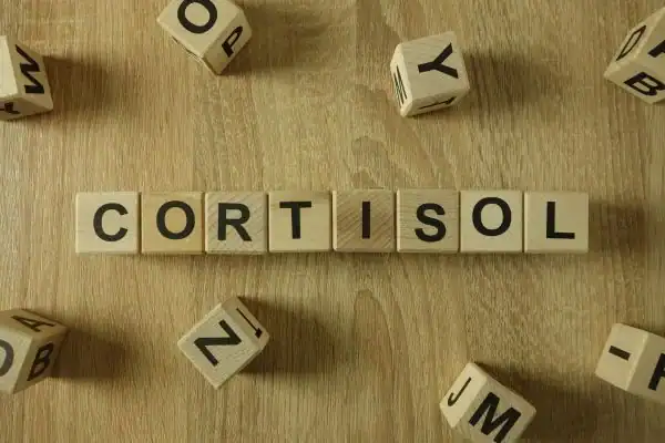 The Hidden Connection: How Stress Shapes Your Fitness and Body Composition 2 Image saying "Cortisol" and how stress Crewe impacts your wellbeing and bodies shape